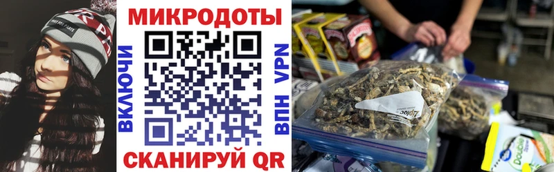 Псилоцибиновые грибы Psilocybine cubensis  Верхняя Тура 